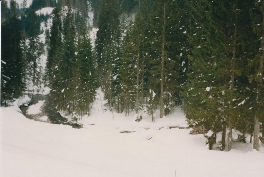 Bilder Ellrott `92 002